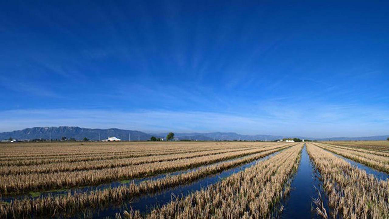 Mi Apartamento En El Delta Del Ebro+ Deltebre Exterior foto