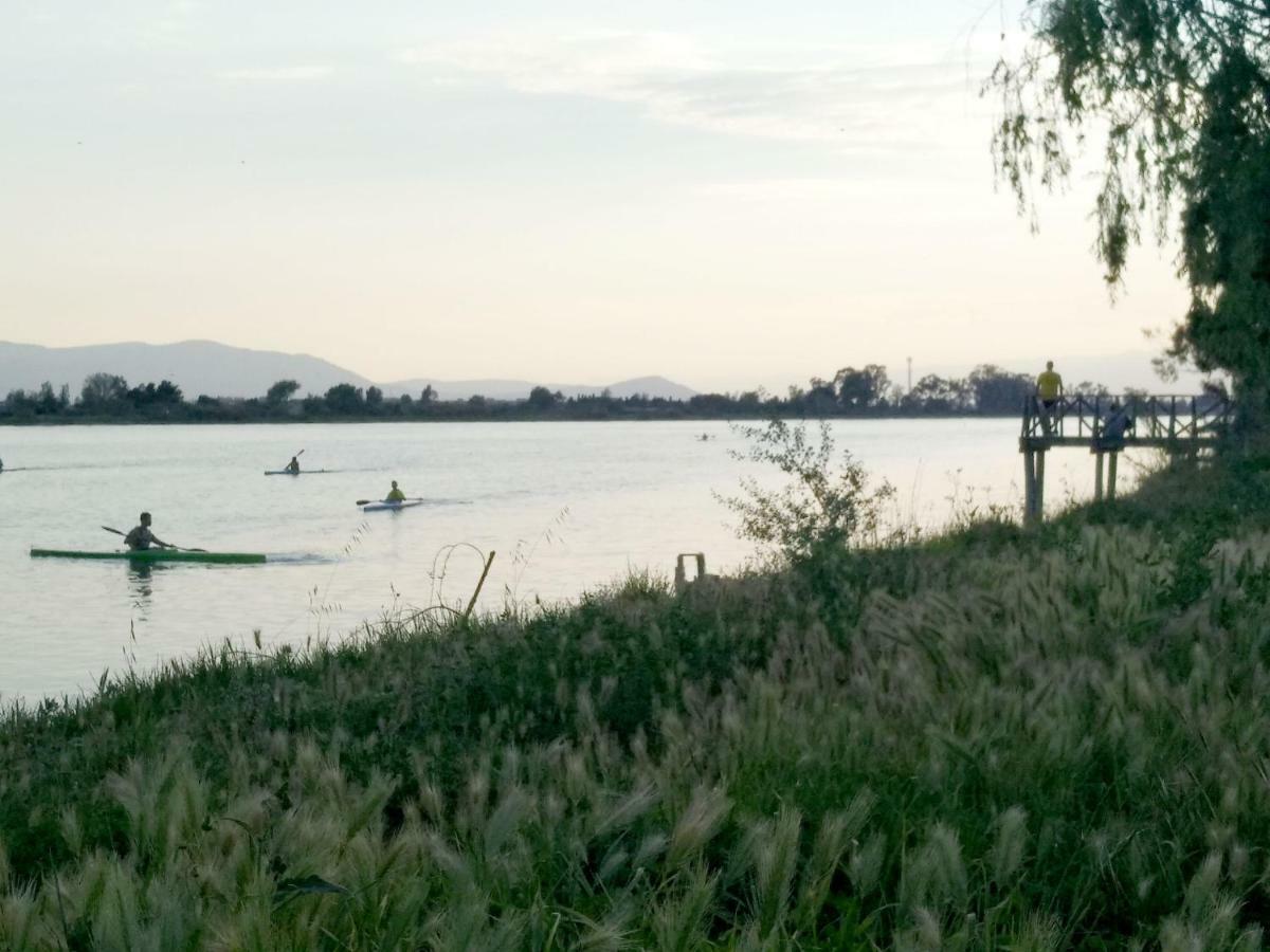 Mi Apartamento En El Delta Del Ebro+ Deltebre Exterior foto