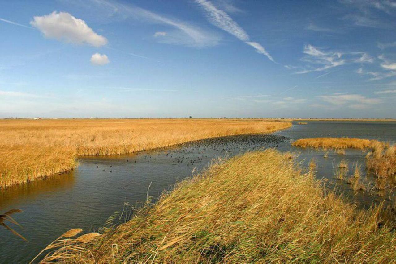 Mi Apartamento En El Delta Del Ebro+ Deltebre Exterior foto